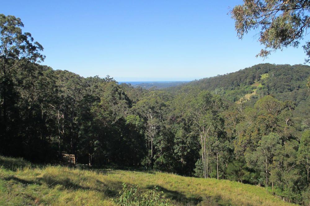 Photo of Outdoor in Bonogin