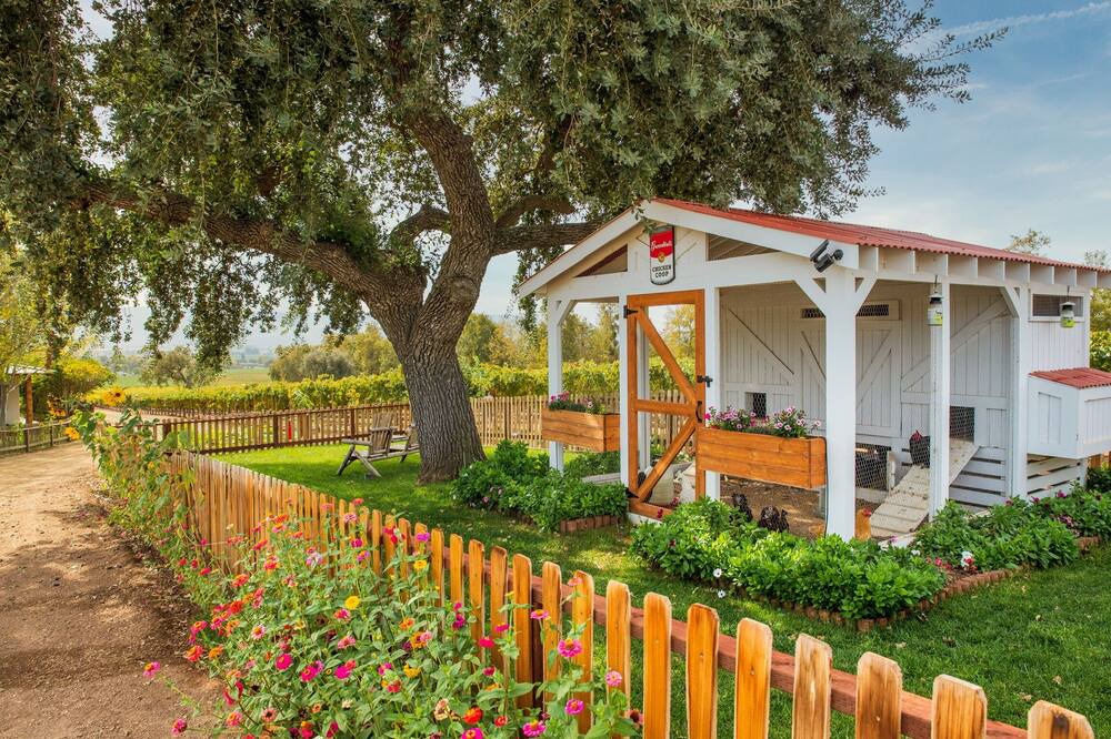 Photo of Outdoor in Santa Ynez