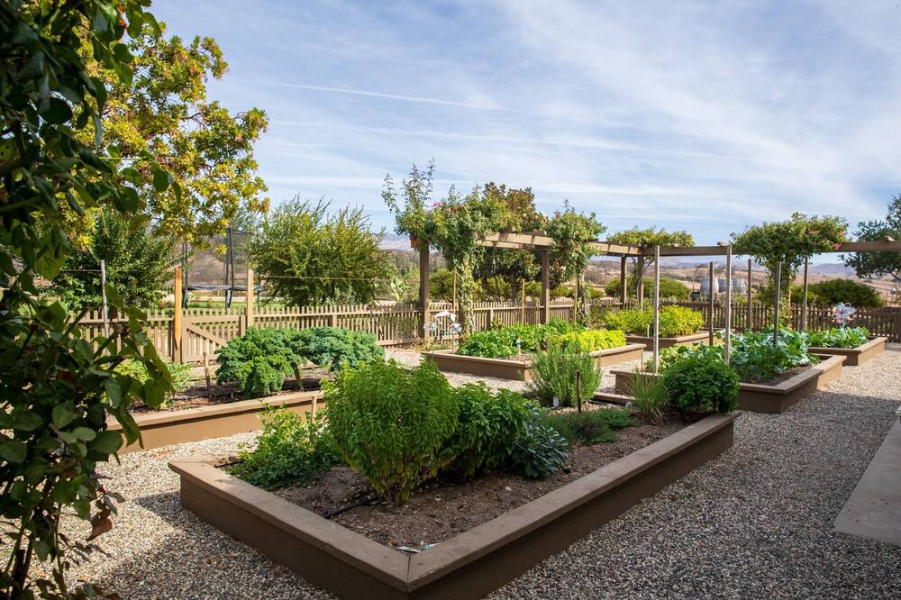 Photo of Outdoor in Santa Ynez