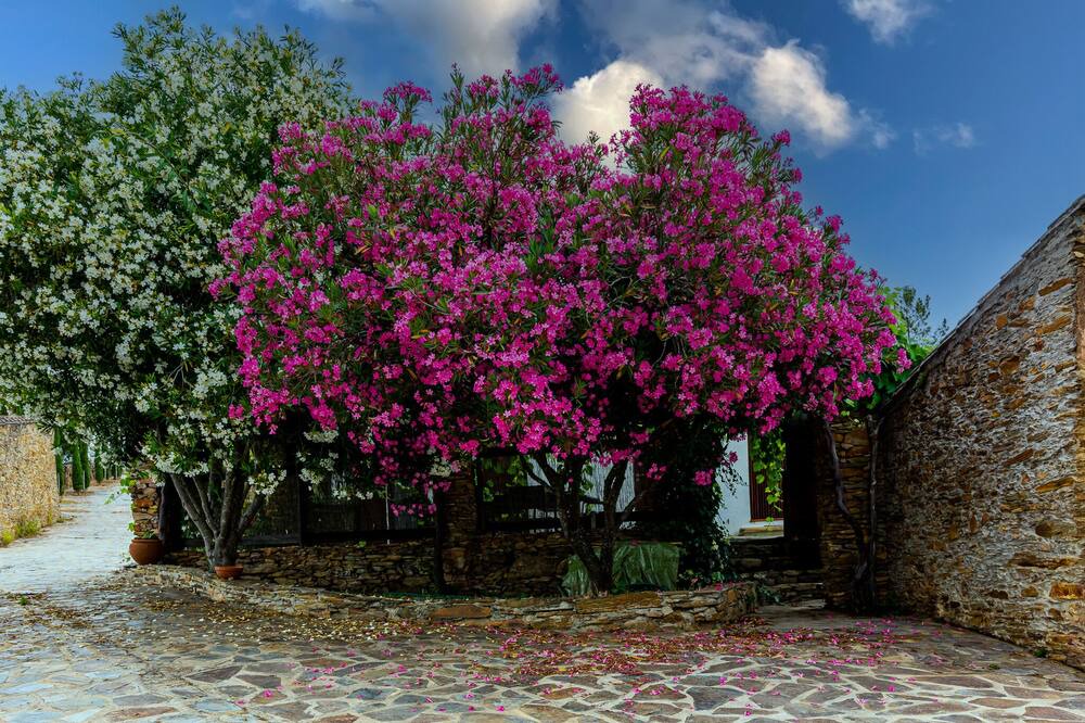 Photo of Outdoor in Portalegre