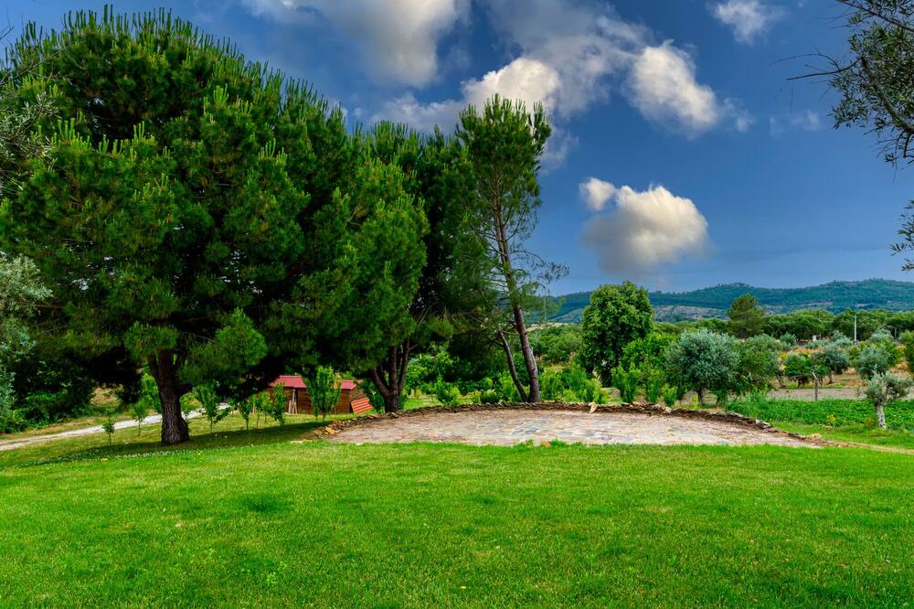 Photo of Outdoor in Portalegre