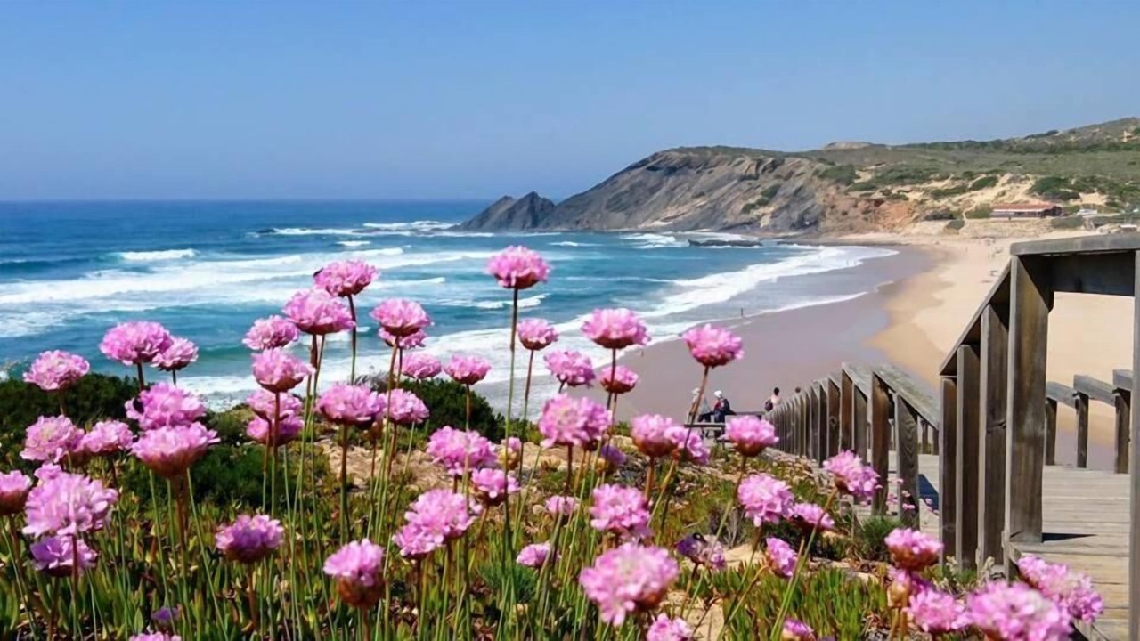 Photo of Others in Aljezur