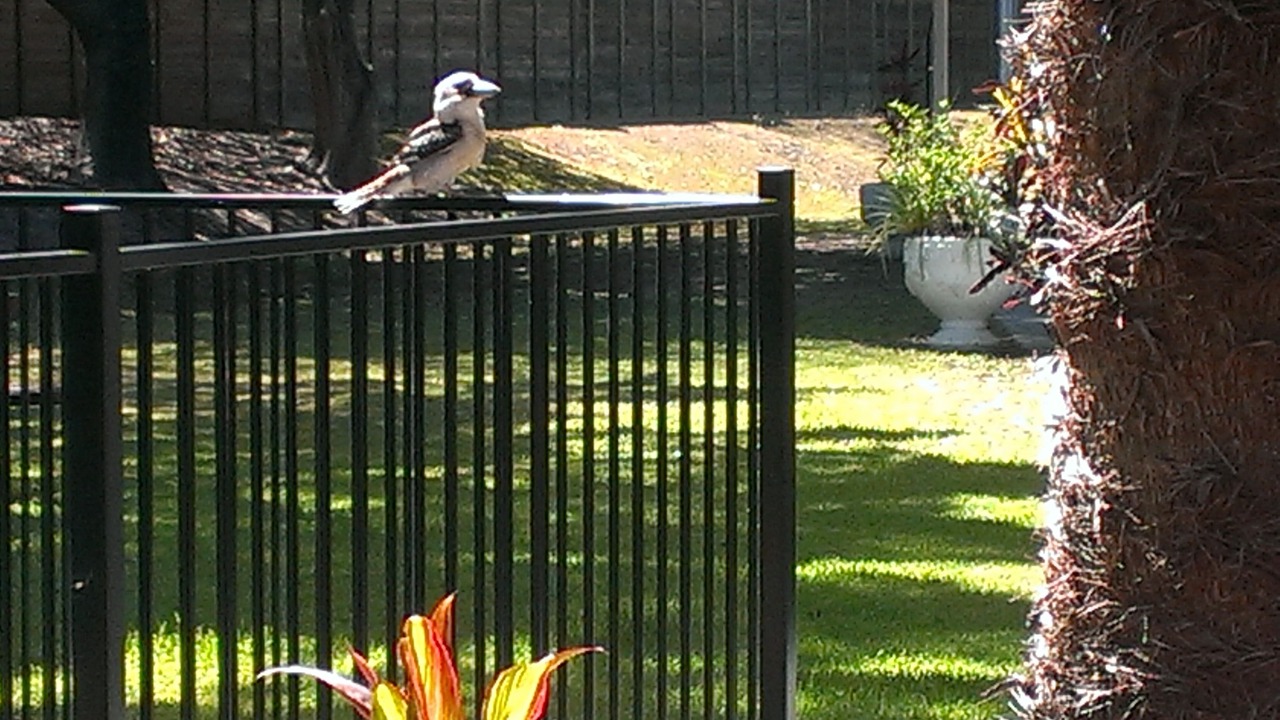 Photo of Outdoor in Coomera