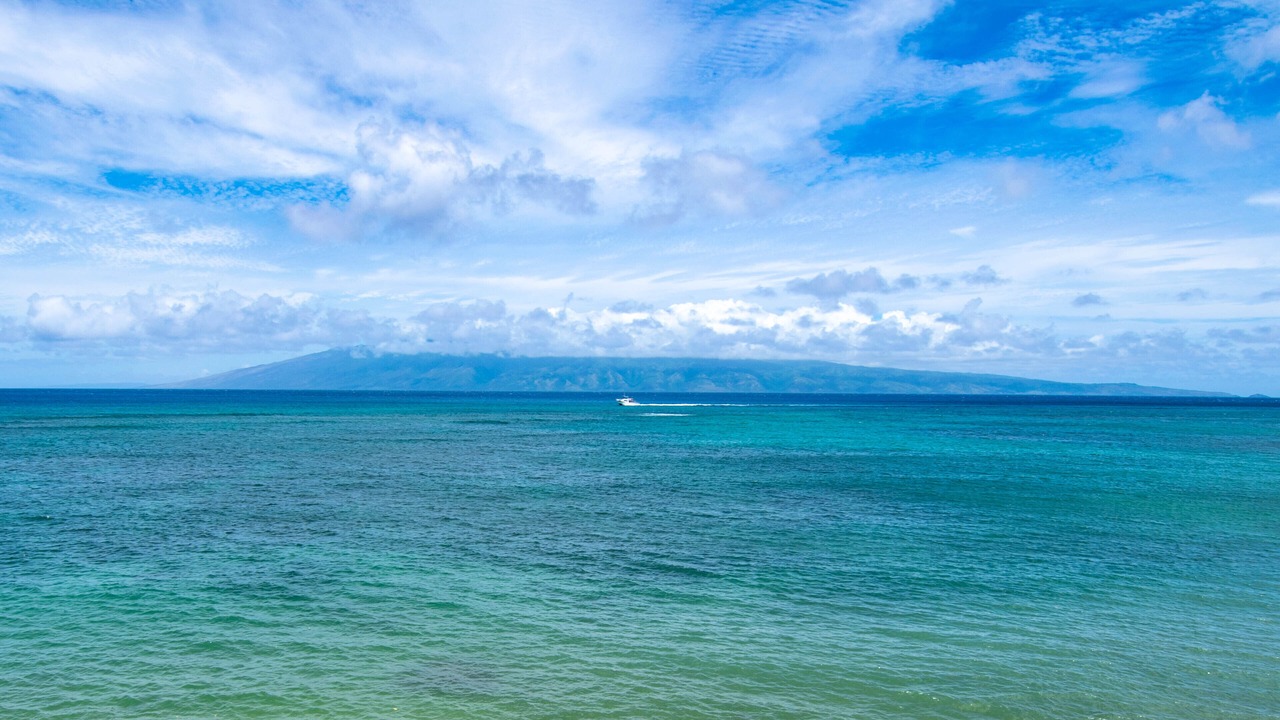 Photo of Others in Kahana