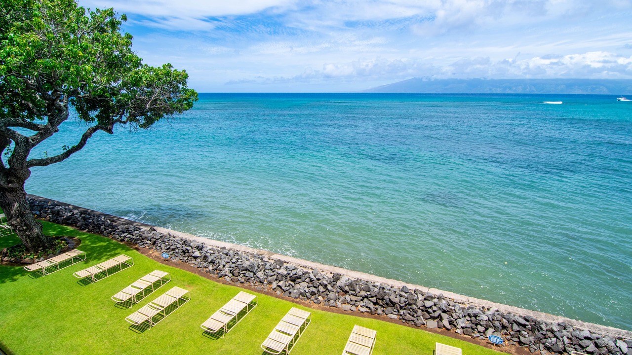 Photo of Outdoor in Kahana