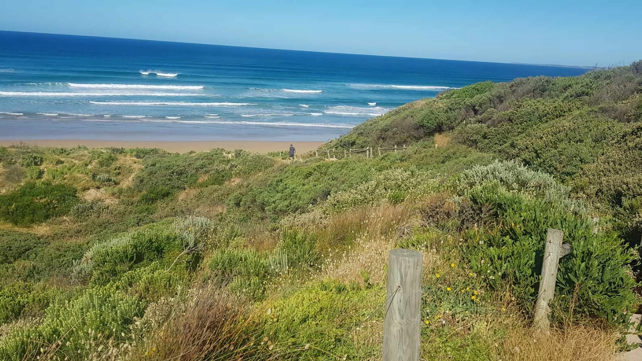 Photo of Others in Venus Bay