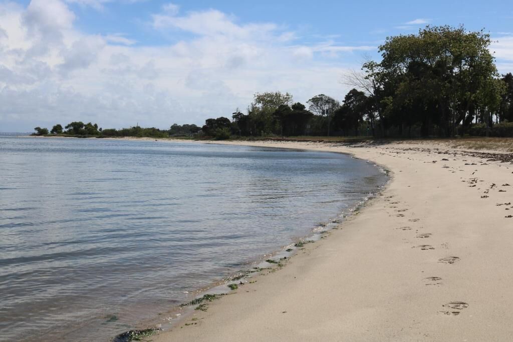 Photo of Others in Murtosa