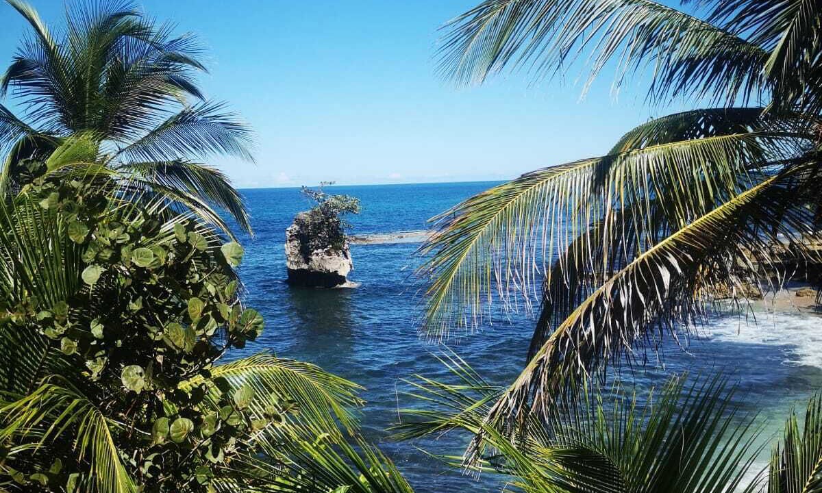Photo of Outdoor in Puerto Viejo de Talamanca