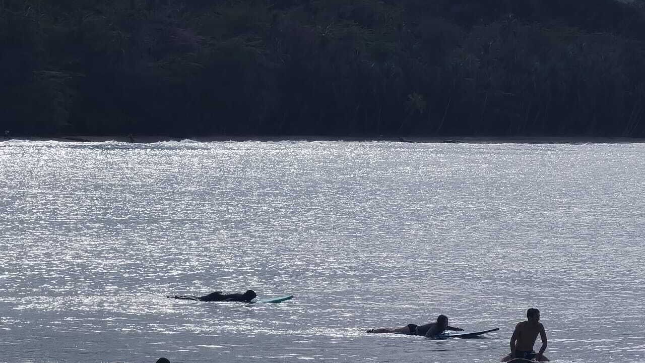 Photo of Others in Puerto Viejo de Talamanca