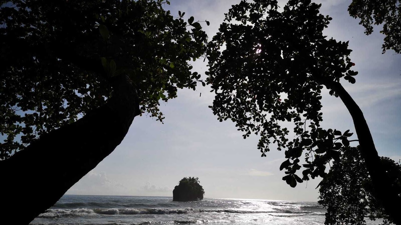 Photo of Others in Puerto Viejo de Talamanca