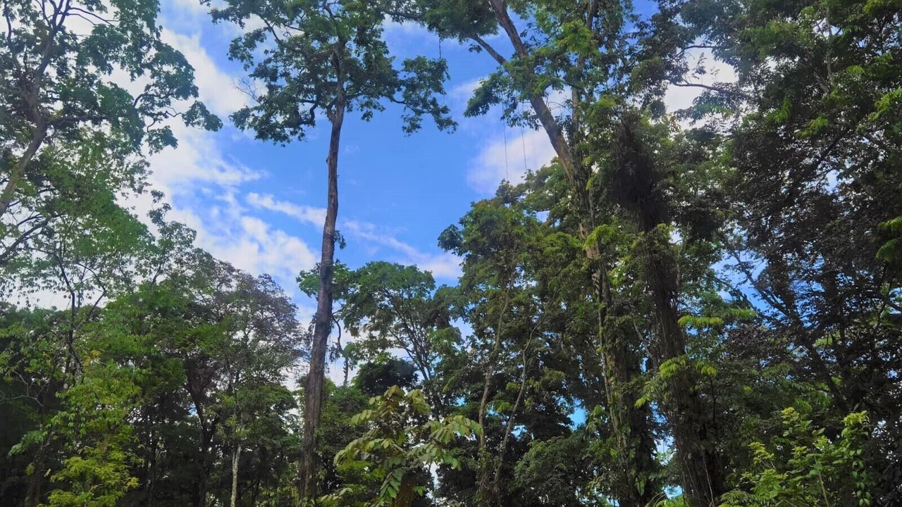 Photo of Outdoor in Puerto Viejo de Talamanca
