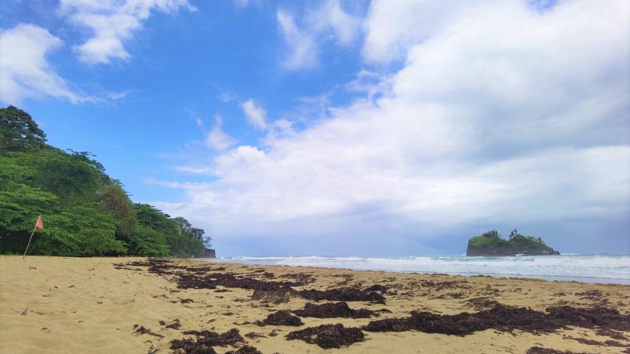 Photo of Others in Puerto Viejo de Talamanca