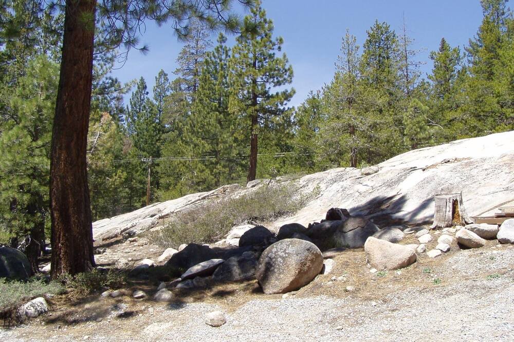 Photo of Others in Bear Valley