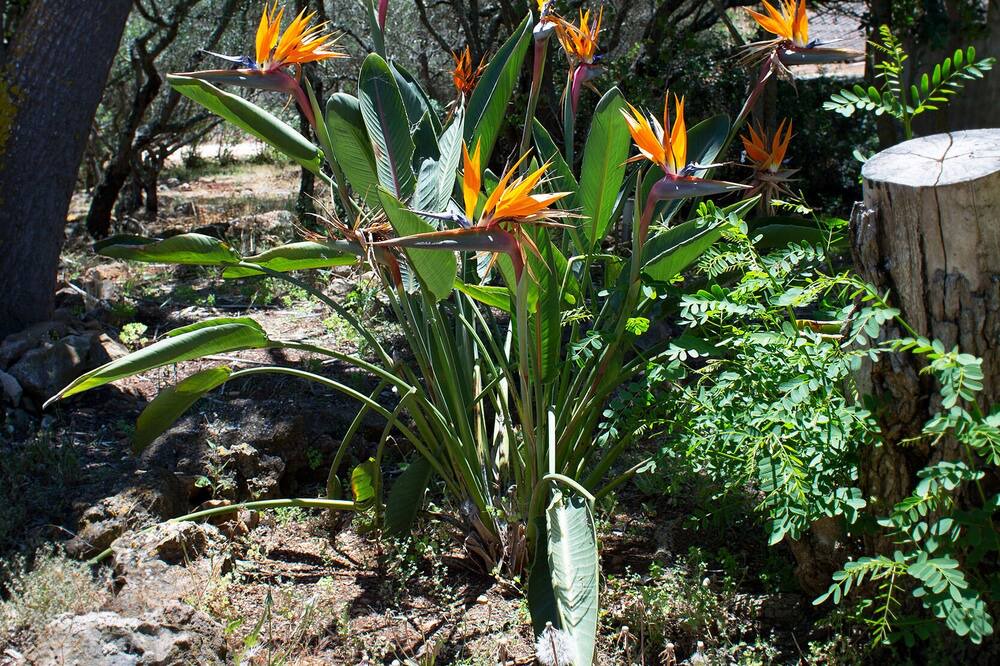 Photo of Outdoor in Bensafrim