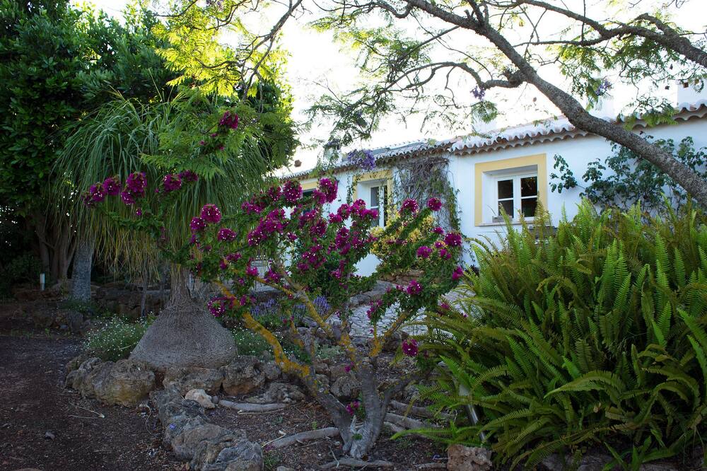 Photo of Outdoor in Bensafrim
