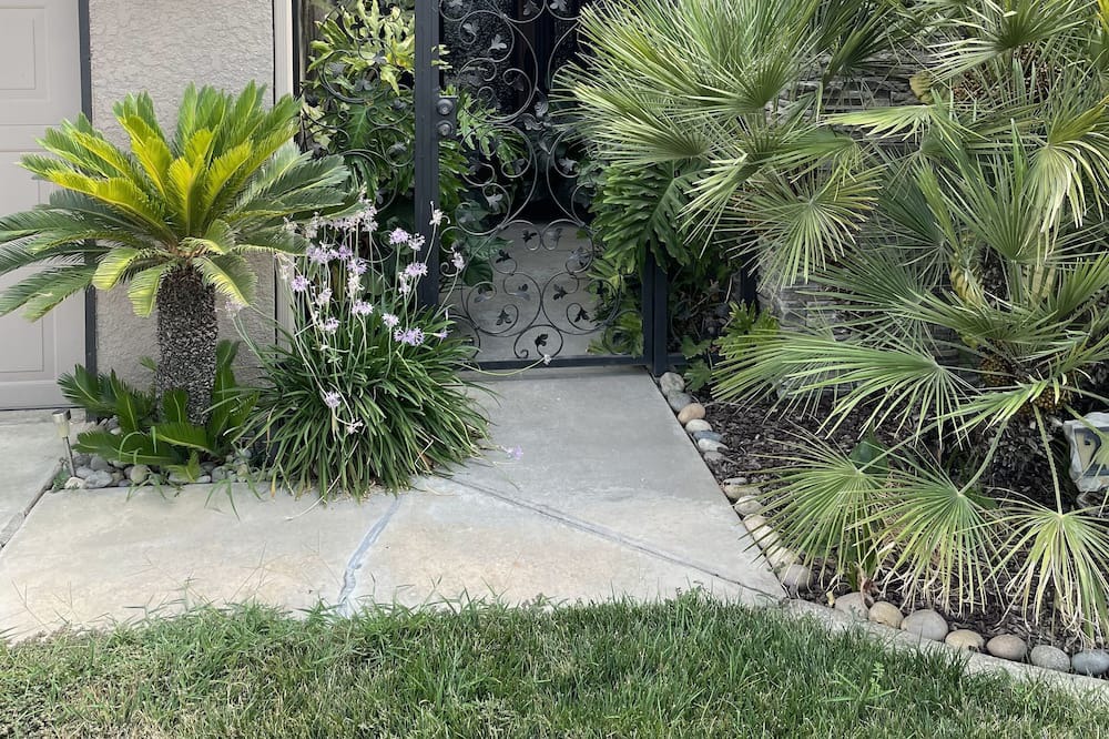 Photo of Outdoor in Visalia