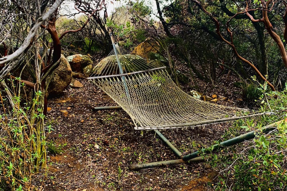 Photo of Outdoor in Alpine