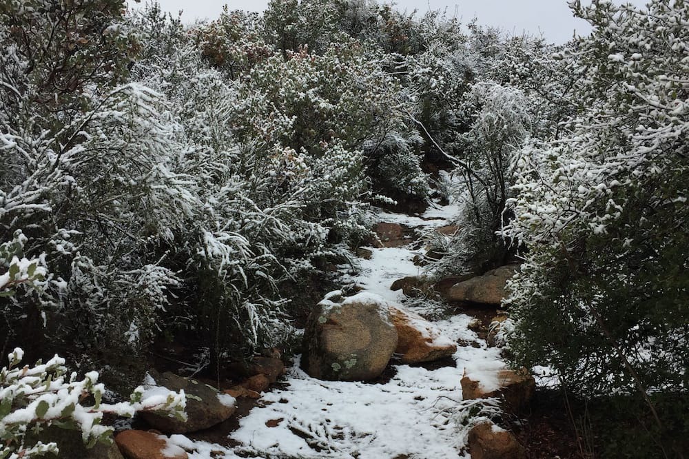 Photo of Outdoor in Alpine