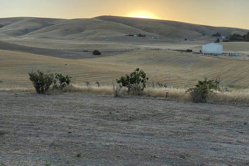 Photo of Others in Paso Robles