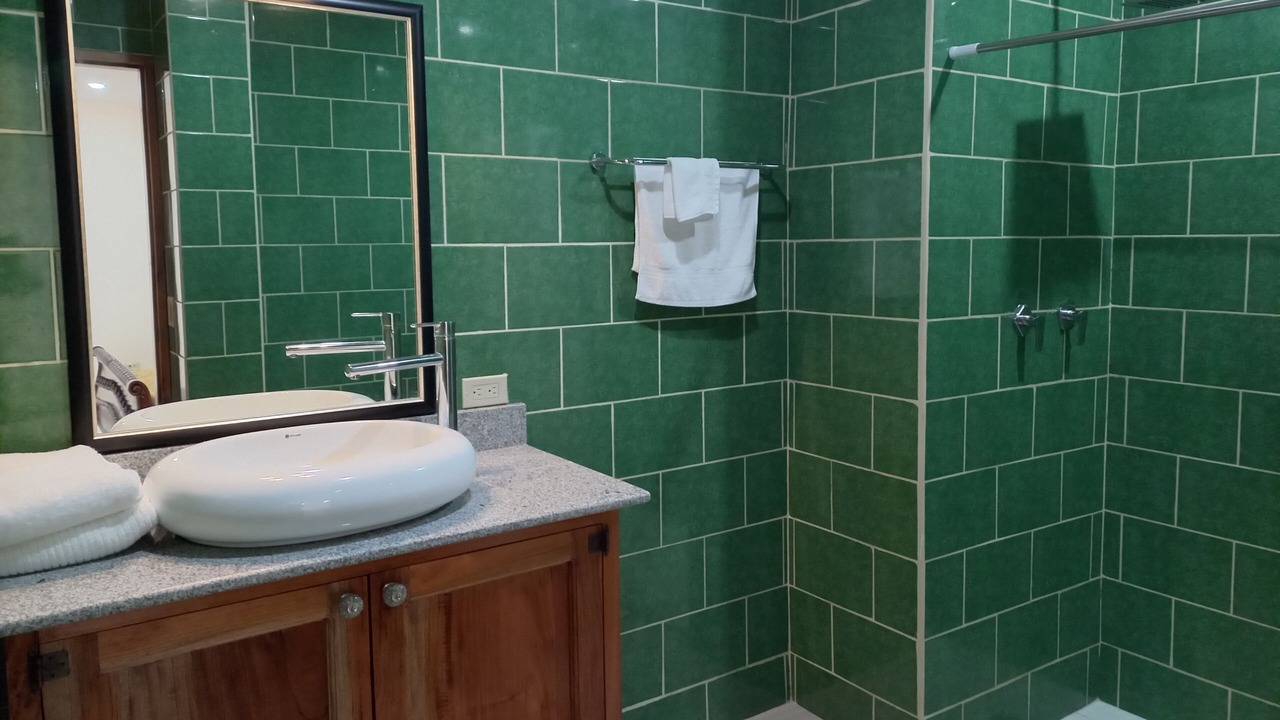 Photo of Bathroom in Rivas