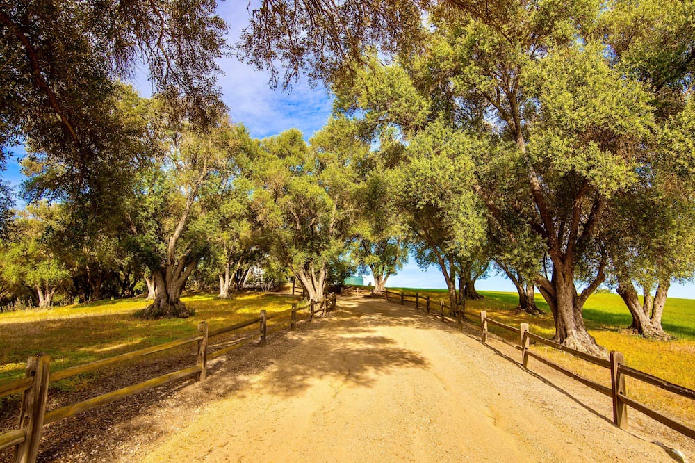 Photo of Others in Paso Robles