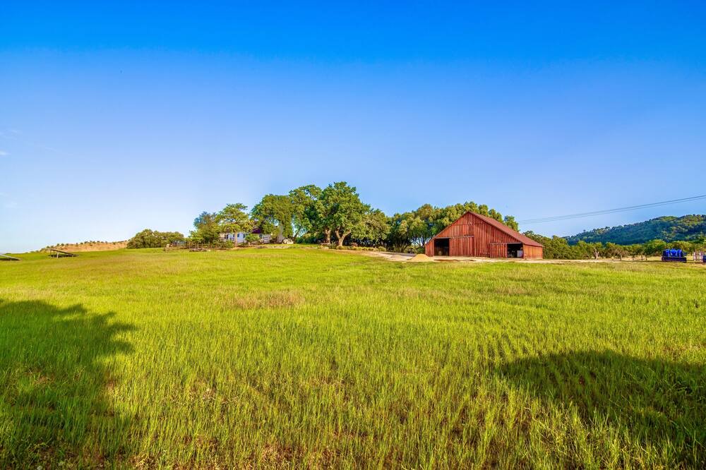 Photo of Others in Paso Robles