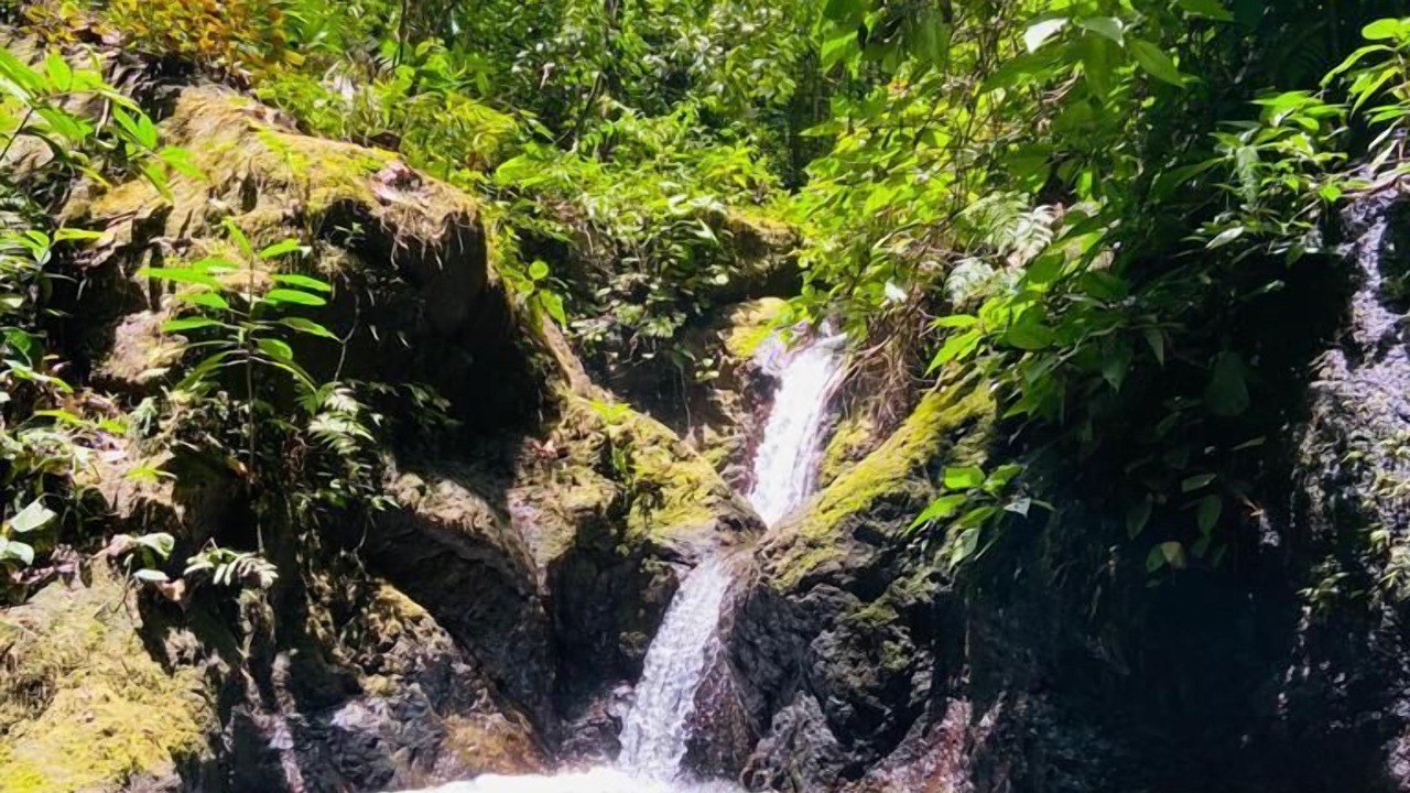 Photo of Outdoor in Drake Bay