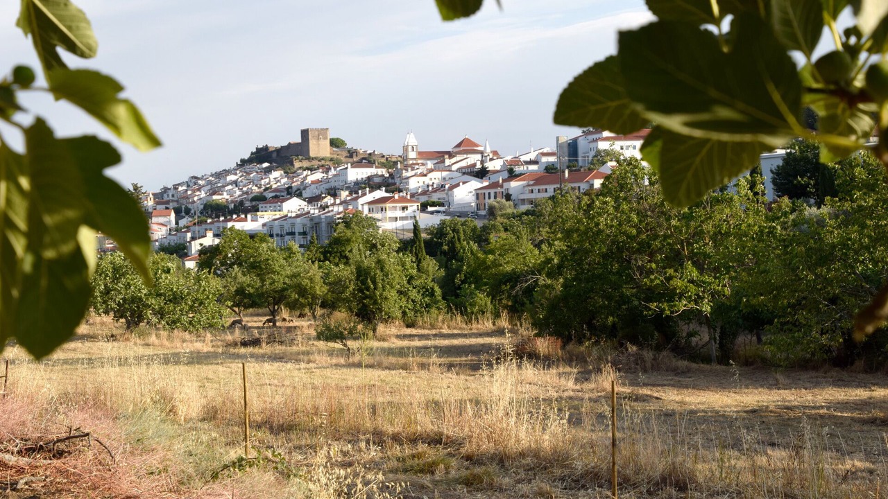 Photo of Outdoor in Castelo de Vide
