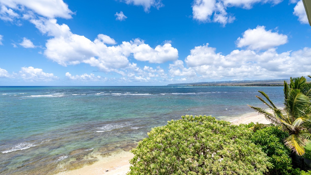 Photo of Others in Mokuleia