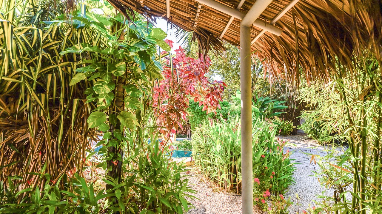 Photo of Outdoor in Tamarindo