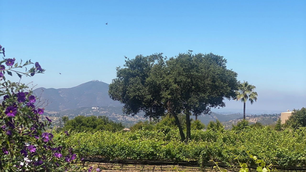 Photo of Outdoor in Jamul