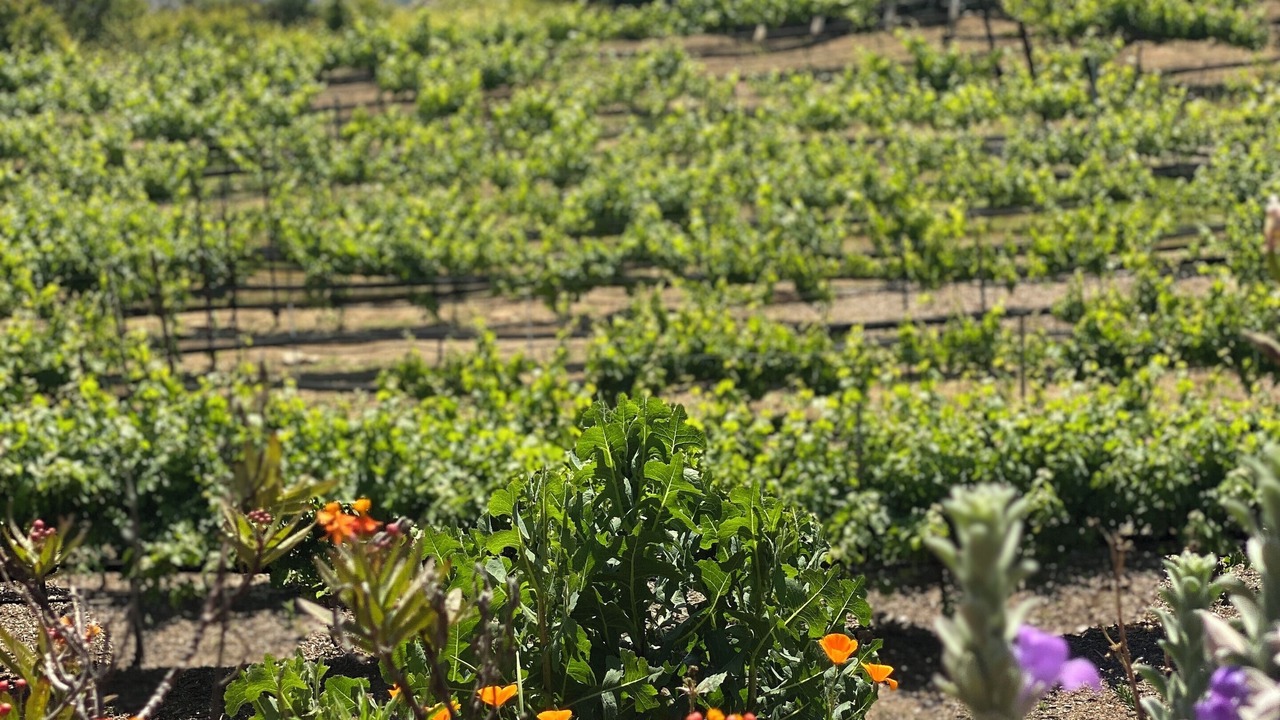 Photo of Outdoor in Jamul