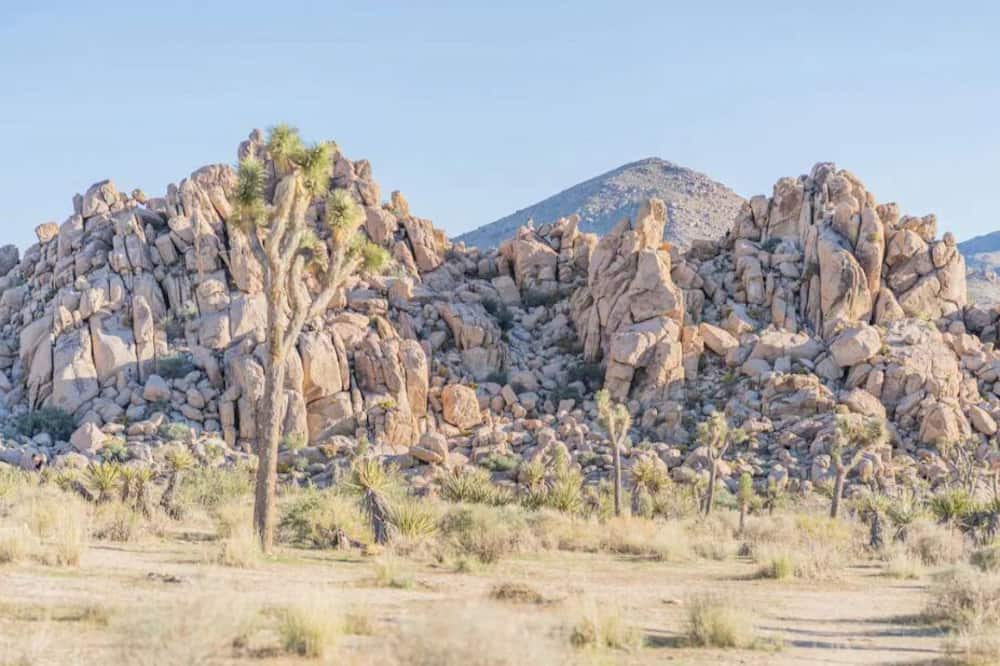 Photo of Others in Twentynine Palms
