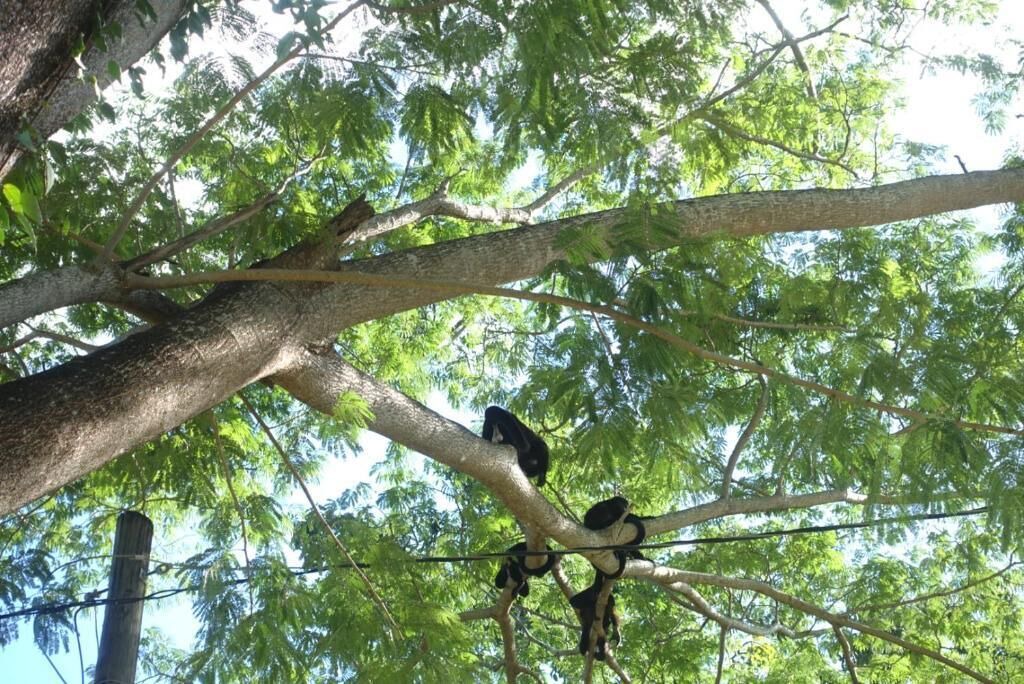 Photo of Outdoor in San Juan del Sur