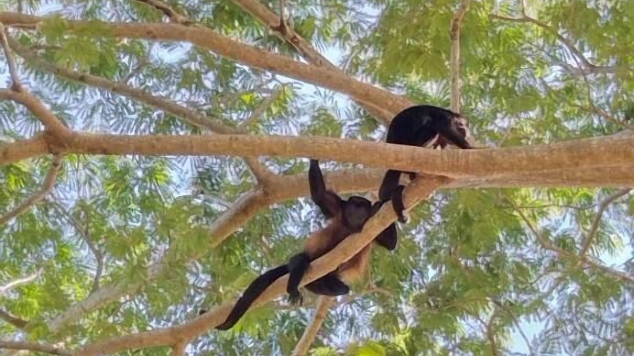 Photo of Outdoor in San Juan del Sur