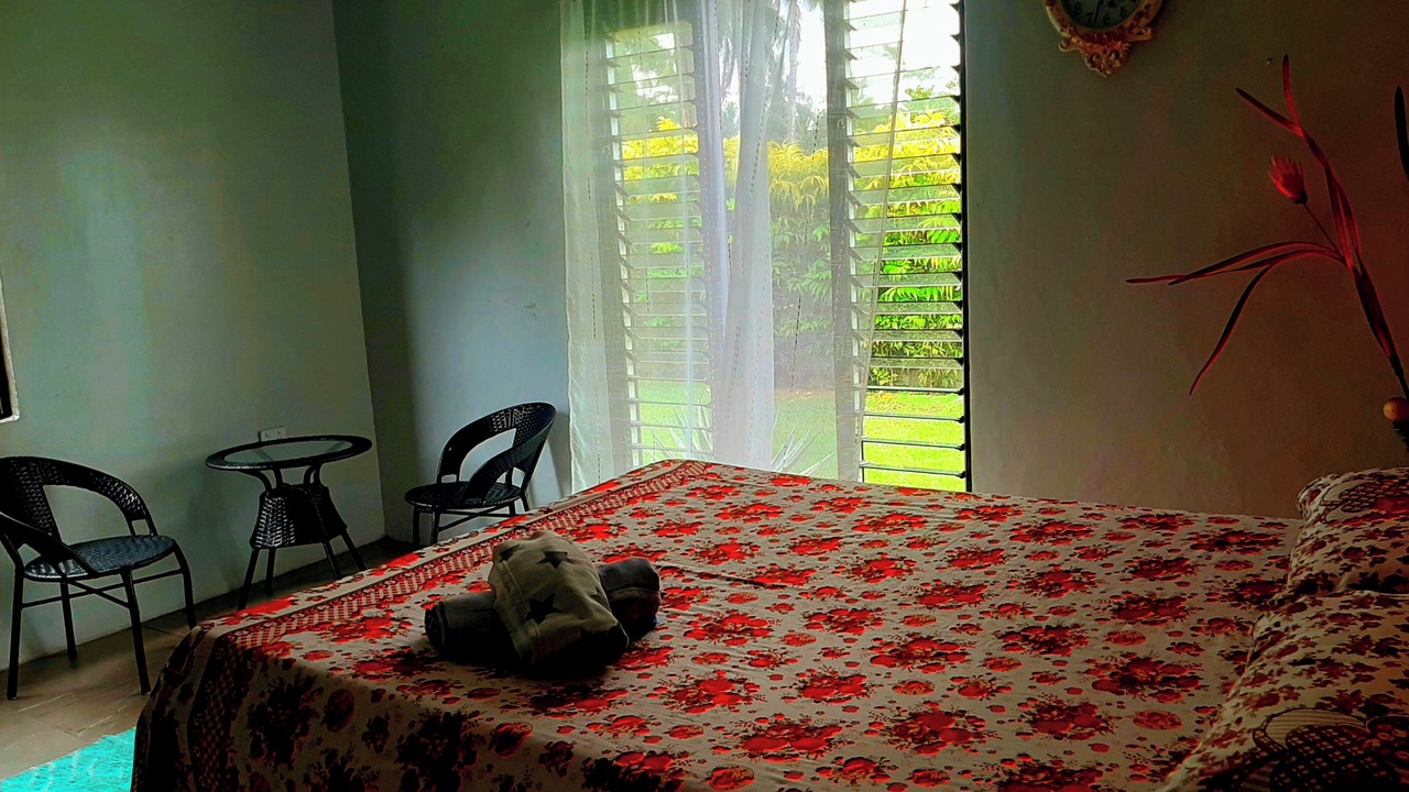 Photo of Bedroom in Pacific Harbour