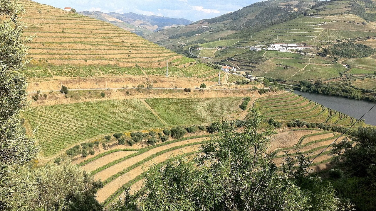 Photo of Outdoor in Bomfim