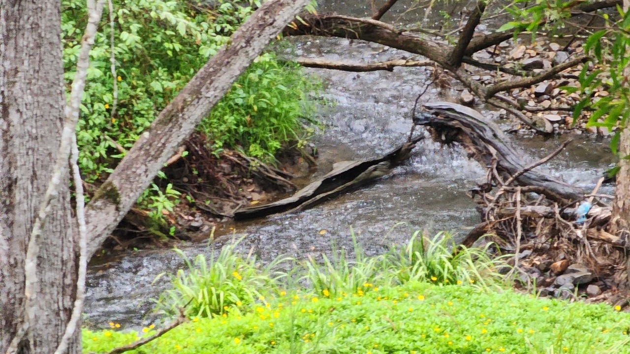 Photo of Others in Mount Nathan
