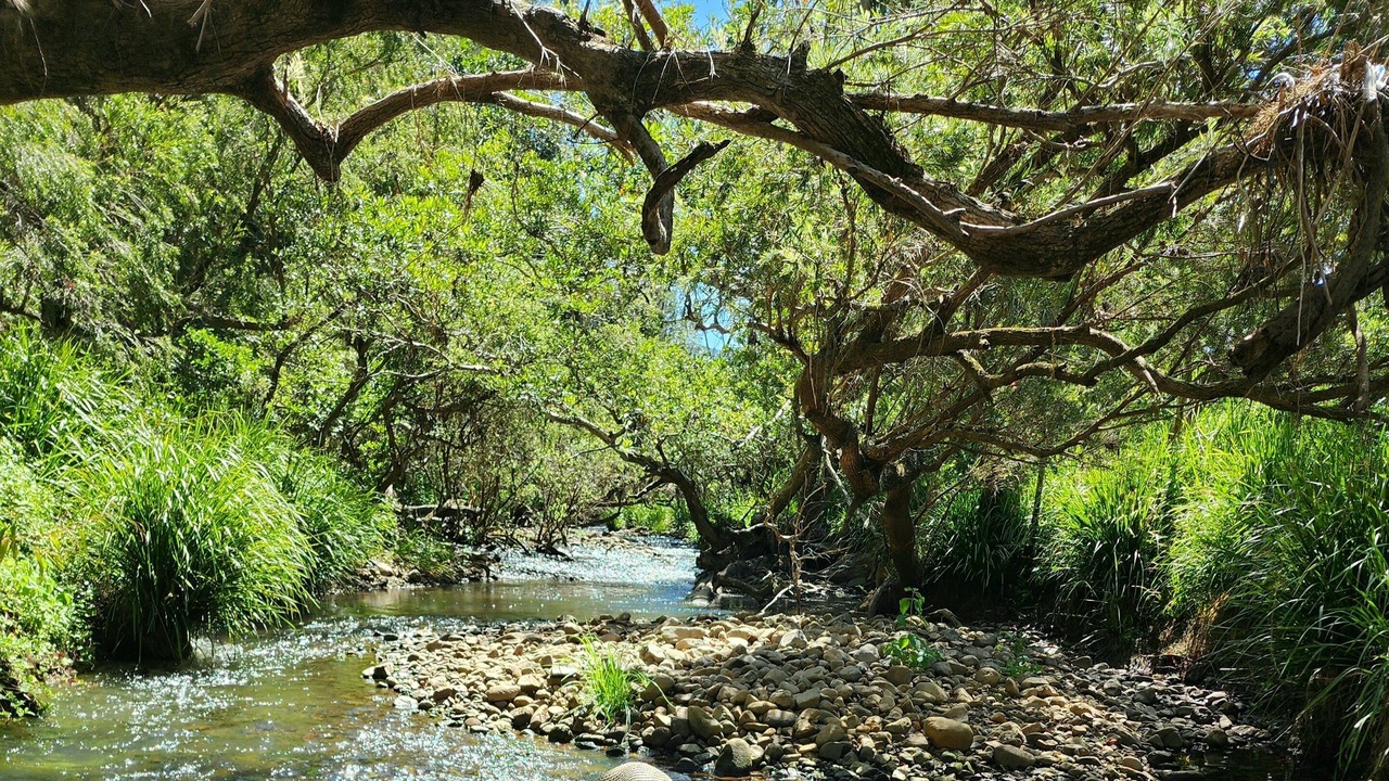 Photo of Outdoor in Mount Nathan