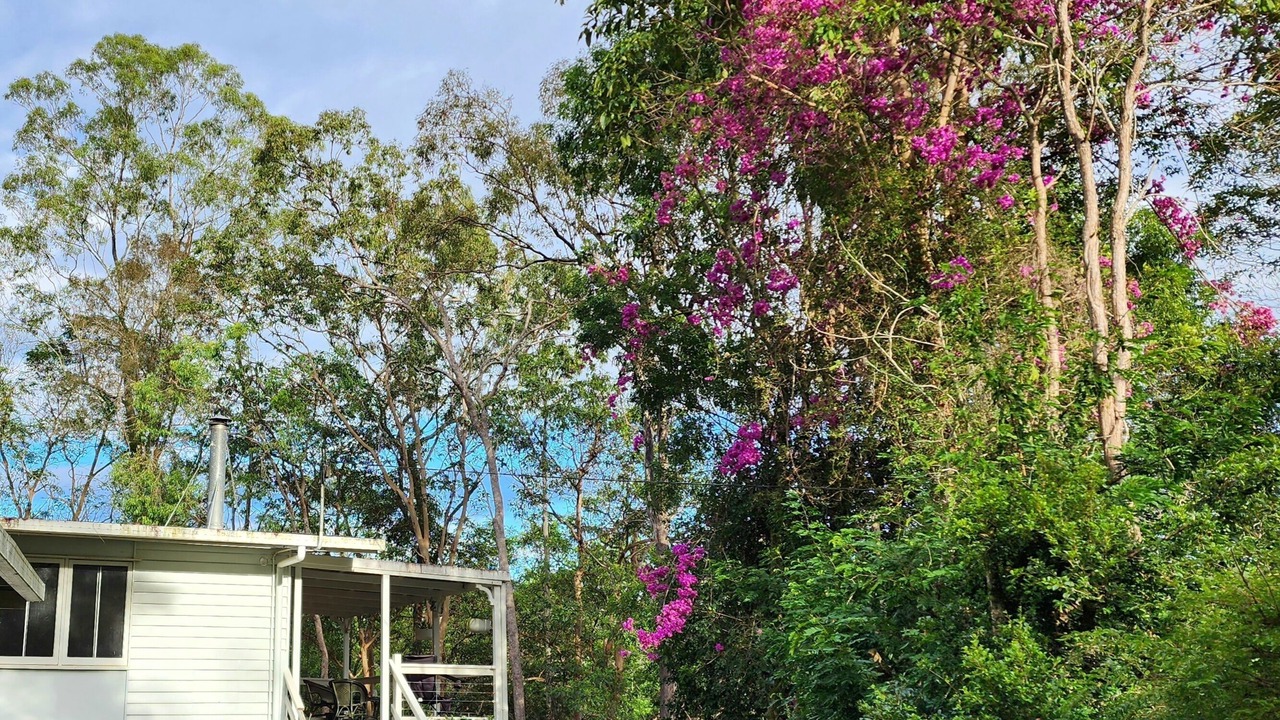 Photo of Outdoor in Mount Nathan