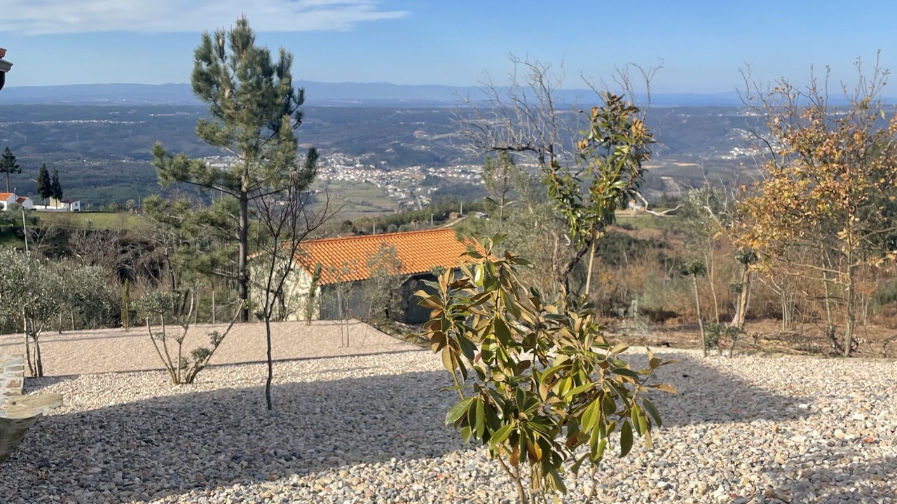 Photo of Outdoor in Coja