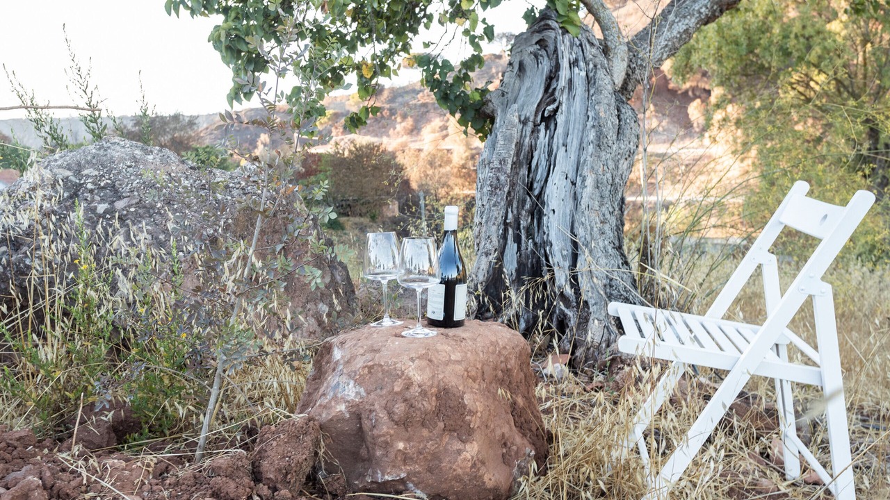 Photo of Outdoor in Setubal