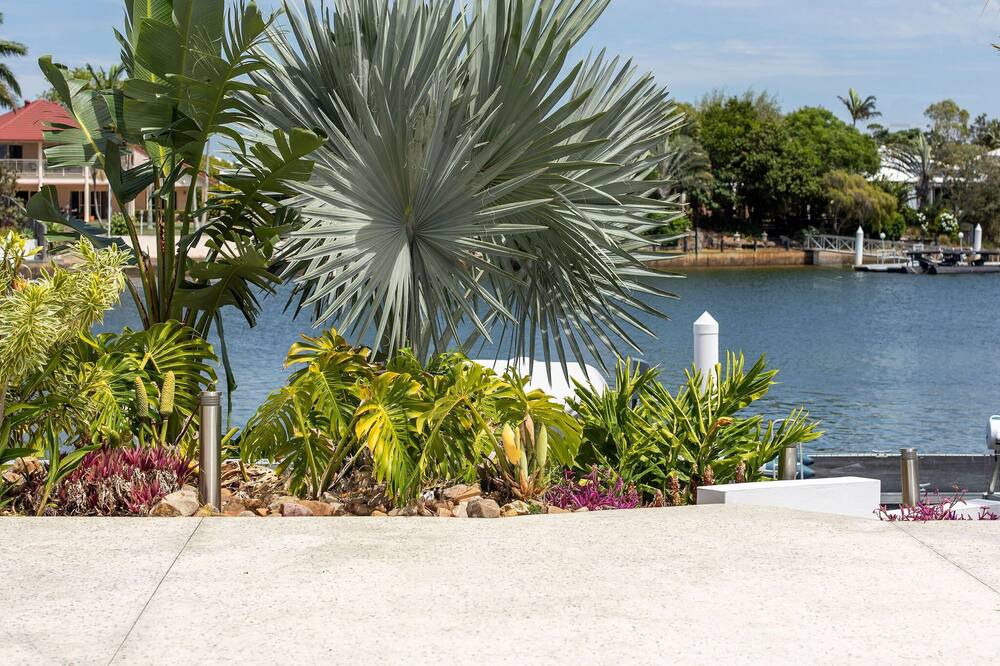 Photo of Others in Pelican Waters