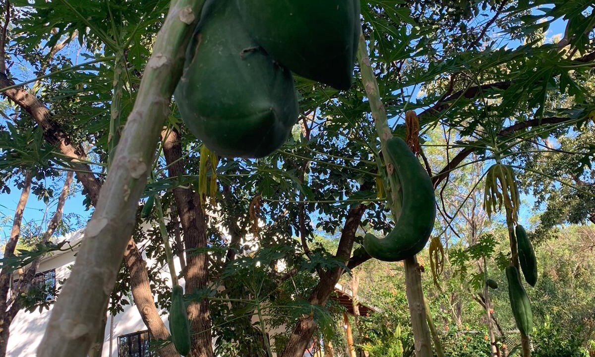 Photo of Outdoor in Popoyo