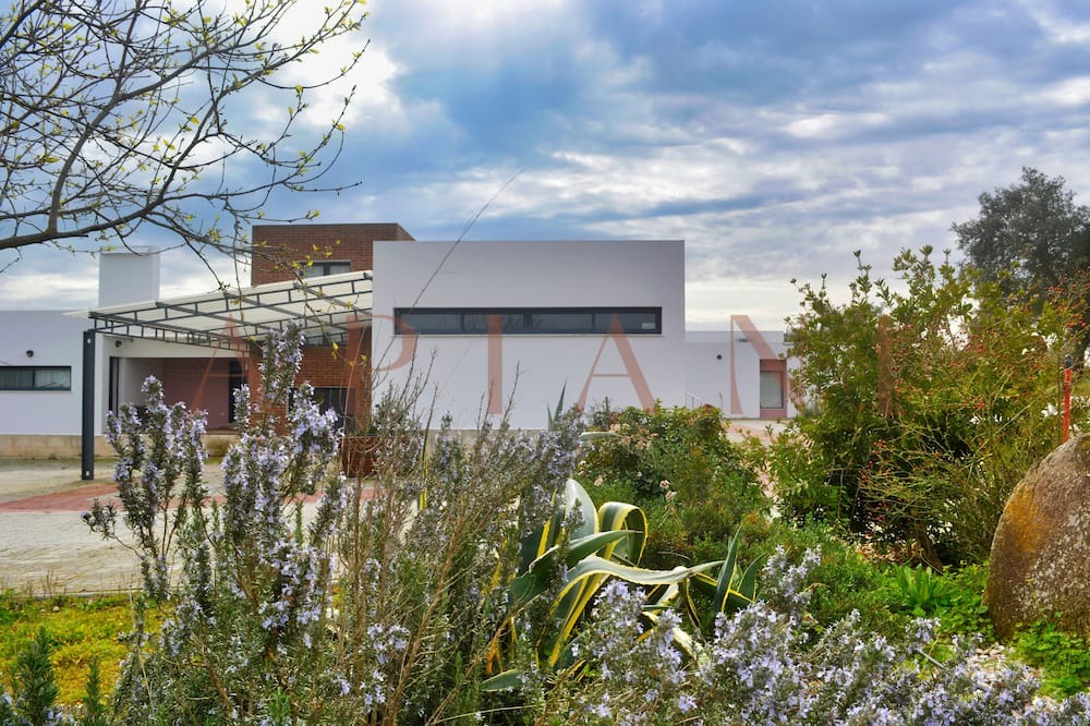 Photo of Outdoor in Azaruja