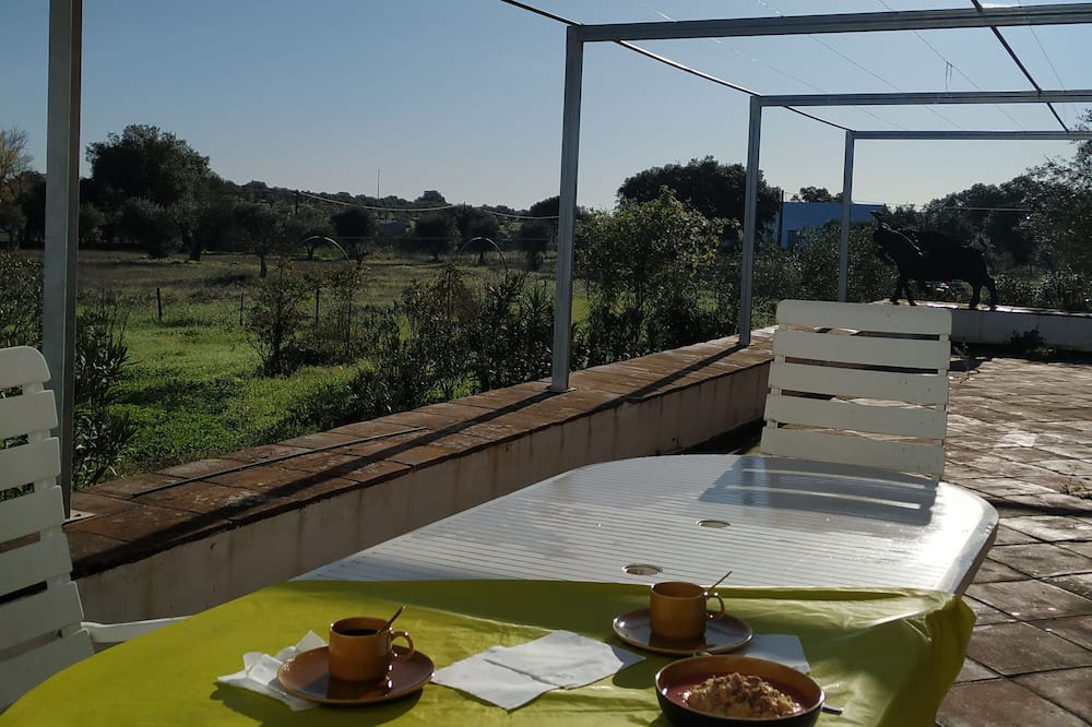 Photo of Outdoor in Azaruja