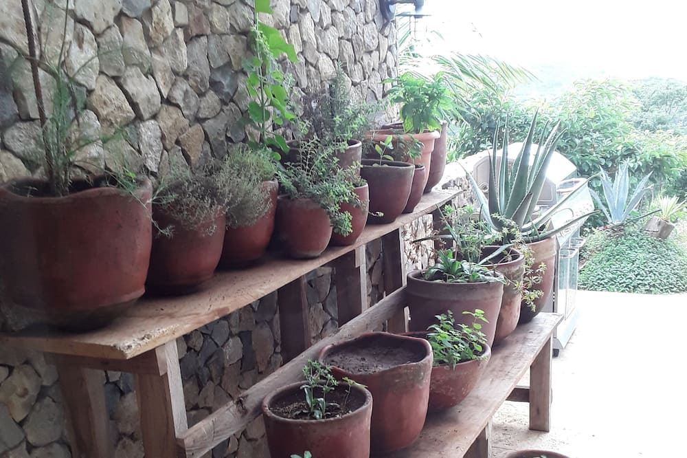 Photo of Outdoor in Escamequita