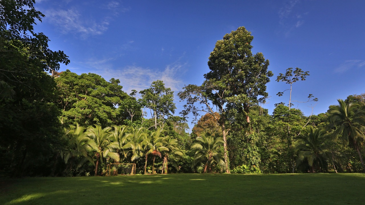 Photo of Outdoor in Manzanillo