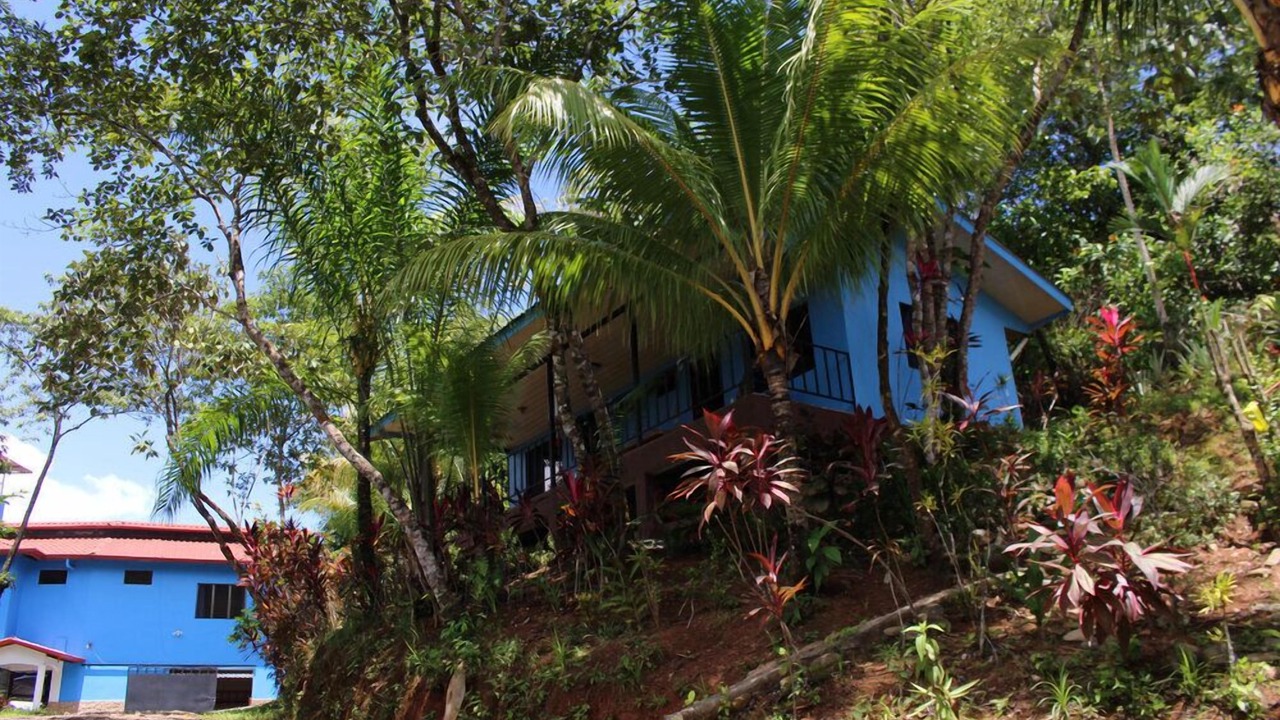 Photo of Outdoor in Ciudad Cortes