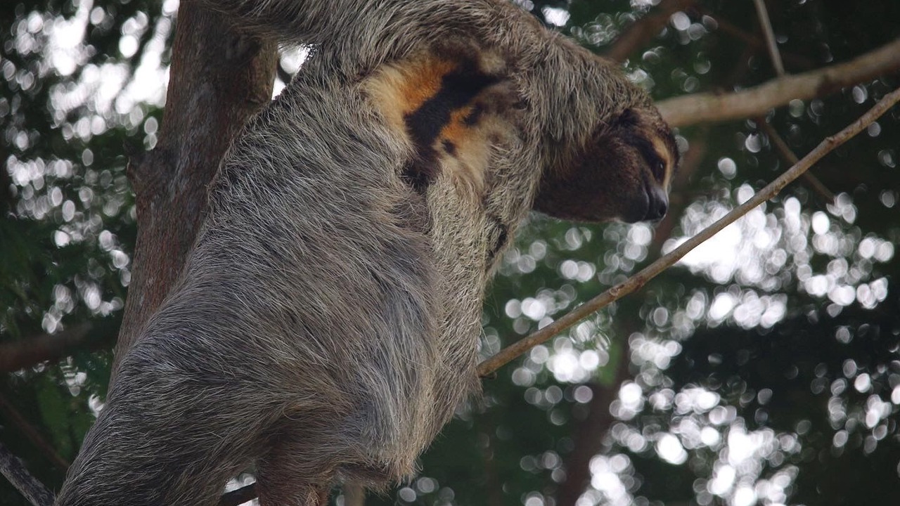 Photo of Outdoor in Ciudad Cortes